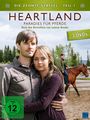 Dean Bennett: Heartland - Paradies für Pferde Staffel 10 Box 1, DVD,DVD,DVD