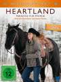 Dean Bennett: Heartland - Paradies für Pferde Staffel 11 Box 2, DVD,DVD,DVD