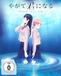 Makoto Katou: Bloom into you Vol. 3 (mit Sammelschuber), DVD
