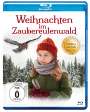Anu Aun: Weihnachten im Zaubereulenwald (Blu-ray), BR