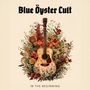 Blue Öyster Cult: In The Beginning (LP, black), LP
