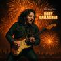 Rory Gallagher: The Rock N' Roots Of, LP
