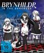 Kenichi Imaizumi: Brynhildr in the Darkness (Gesamtausgabe) (Blu-ray), BR,BR