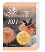 Ein Jahr voller Achtsamkeit 2027. "hier heute jetzt" in gelbem Kreis. Schmetterling auf oranger Blüte.