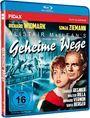 Phil Karlson: Geheime Wege (Blu-ray), BR