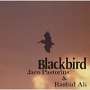 Jaco Pastorius & Rashid Ali: Blackbird, CD