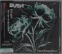 Bush: I Beat Loneliness, CD