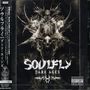 Soulfly: Dark Ages, CD