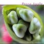 Fiona Apple: Extraordinary Machine (+Bonus), CD