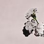 John Legend: Love In The Future + 1 (Special Edition), CD