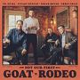 "Yo-Yo Ma, Stuart Duncan, Edgar Meyer, Chris Thile. 'Not Our First Goat Rodeo'. Vier Männer in einem gemütlichen Raum."