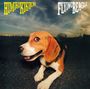 Himiko Kikuchi: Flying Beagle (180g), LP