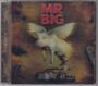 Mr. Big: What If, CD,DVD