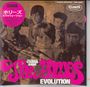 The Hollies: Evolution (US Version) (Papersleeve), CD