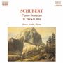 Franz Schubert: Klaviersonaten D.784 & D.894, CD