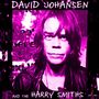 David Johansen: David Johansen And The Harry Smiths (Hybrid-SACD), SACD