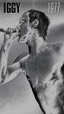 Iggy Pop: 1977(Limited-Edition) (Non Japan-Made Discs), CD
