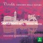 Antonio Vivaldi: Violinkonzerte RV 90,95,104,151,253,335a,362, CD