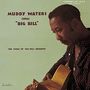 Muddy Waters: Sings Big Bill (Reissue), CD