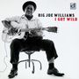 Big Joe Williams (Guitar / Blues): I Got Wild, CD