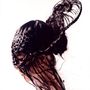Björk: Who Is It? (Part 1), CDM