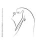 Polly Paulusma: The Pivot On Which The World Turns, LP