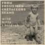 Billy Childish: From Fossilised Cretaceous Seams: A Short History, LP,LP