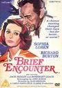Aland Bridges: Brief Encounter (1974) (UK Import), DVD