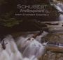 Schubert Forellenquintett Amati Chamber Ensemble. Ein Wald mit fließendem Wasserfall im Hintergrund.
