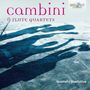Giuseppe Maria Cambini: Flötenquartette T.145-150, CD,CD