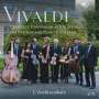 Antonio Vivaldi: Sämtliche Konzerte & Symphonien für Streicher, CD,CD,CD,CD