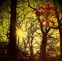 Mary Jane: Solstice, CD