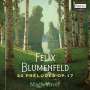 Felix Mikhailovich Blumenfeld: Preludes op.17 Nr.1-24, CD