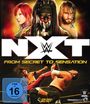 : WWE NXT - From Secret To Sensation (Blu-ray), BR,BR