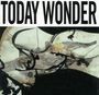 Ed Kuepper: Today Wonder, CD