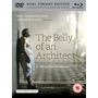 "Peter Greenaway's most accomplished work" The Times. "The Belly of an Architect". Ein Mann steht in einem antiken Gebäude.