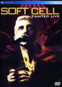 Soft Cell: Tainted Live, DVD