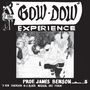 Prof. James Benson: Gow-Dow Experience (180g) (Limited Numbered Edition), LP