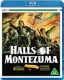 Lewis Milestone: Halls of Montezuma (1951) (Blu-ray) (UK Import), DVD