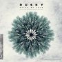 Dusky: Stick By This (Light Grey Vinyl) (10th Anniversary Deluxe Edition), LP,LP,LP