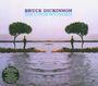 Bruce Dickinson: Skunkworks, CD,CD