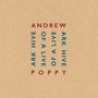 Andrew Poppy: Ark Hive of Live, CD,CD,CD,CD