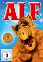 : Alf Staffel 1, DVD,DVD,DVD,DVD