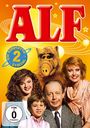 : Alf Staffel 2, DVD,DVD,DVD,DVD