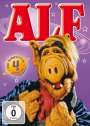 : Alf Staffel 4, DVD,DVD,DVD,DVD