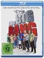 : The Big Bang Theory Staffel 10 (Blu-ray), BR,BR