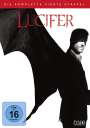 : Lucifer Staffel 4, DVD,DVD