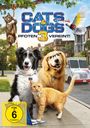 Sean McNamara: Cats & Dogs 3 - Pfoten vereint!, DVD