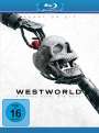 : Westworld Staffel 4 (finale Staffel) (Blu-ray), BR,BR