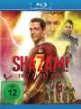 David F. Sandberg: Shazam! Fury of the Gods (Blu-ray), BR